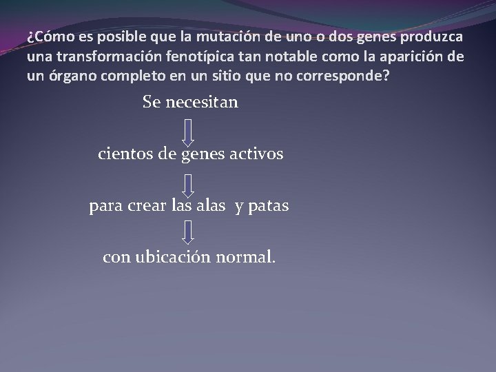 ¿Cómo es posible que la mutación de uno o dos genes produzca una transformación