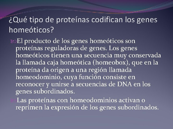 ¿Qué tipo de proteínas codifican los genes homeóticos? El producto de los genes homeóticos