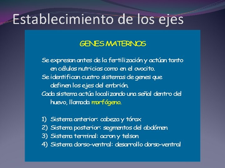 Establecimiento de los ejes 