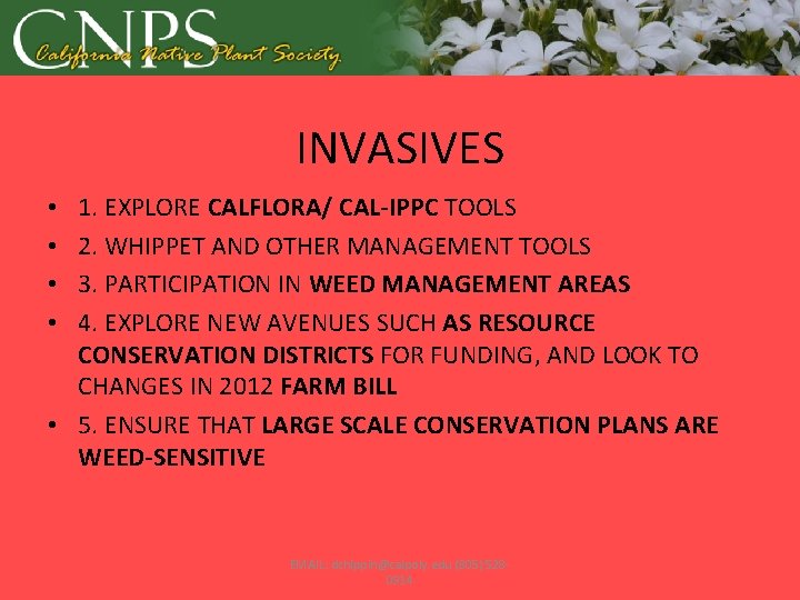 INVASIVES 1. EXPLORE CALFLORA/ CAL-IPPC TOOLS 2. WHIPPET AND OTHER MANAGEMENT TOOLS 3. PARTICIPATION