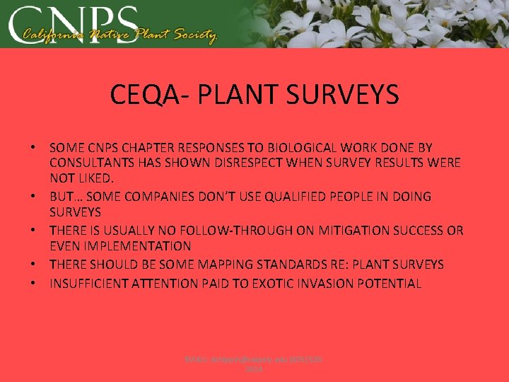 CEQA- PLANT SURVEYS • SOME CNPS CHAPTER RESPONSES TO BIOLOGICAL WORK DONE BY CONSULTANTS