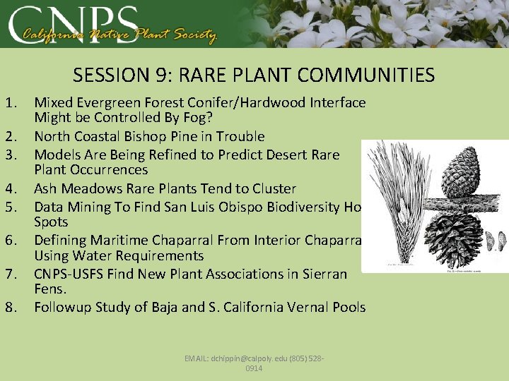 SESSION 9: RARE PLANT COMMUNITIES 1. 2. 3. 4. 5. 6. 7. 8. Mixed