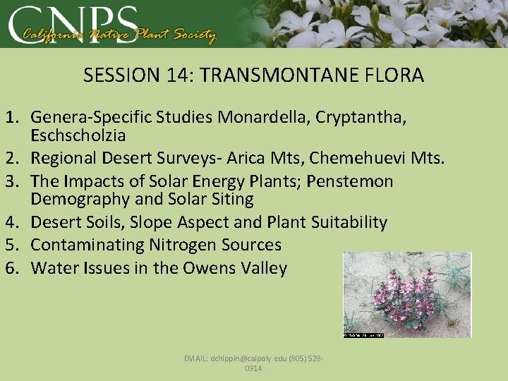 SESSION 14: TRANSMONTANE FLORA 1. Genera-Specific Studies Monardella, Cryptantha, Eschscholzia 2. Regional Desert Surveys-