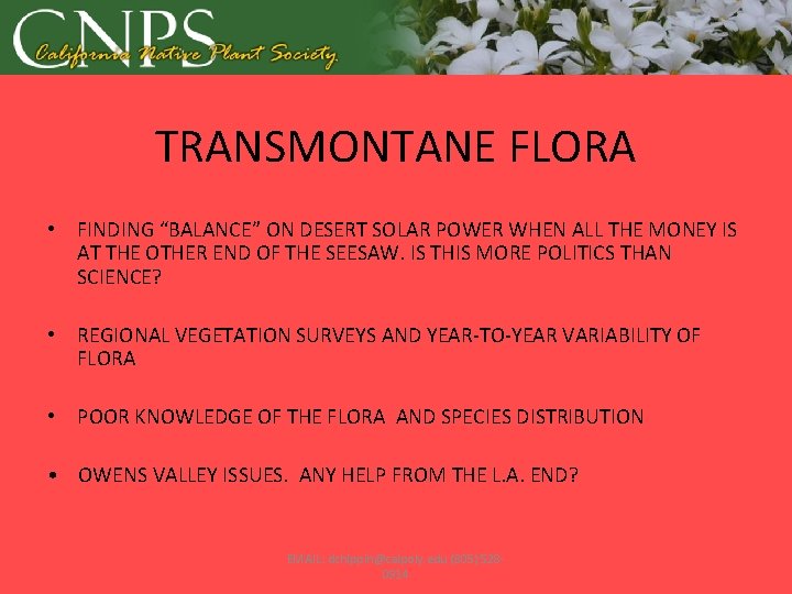 TRANSMONTANE FLORA • FINDING “BALANCE” ON DESERT SOLAR POWER WHEN ALL THE MONEY IS