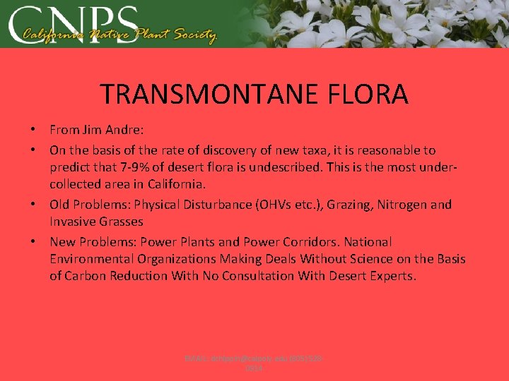 TRANSMONTANE FLORA • From Jim Andre: • On the basis of the rate of