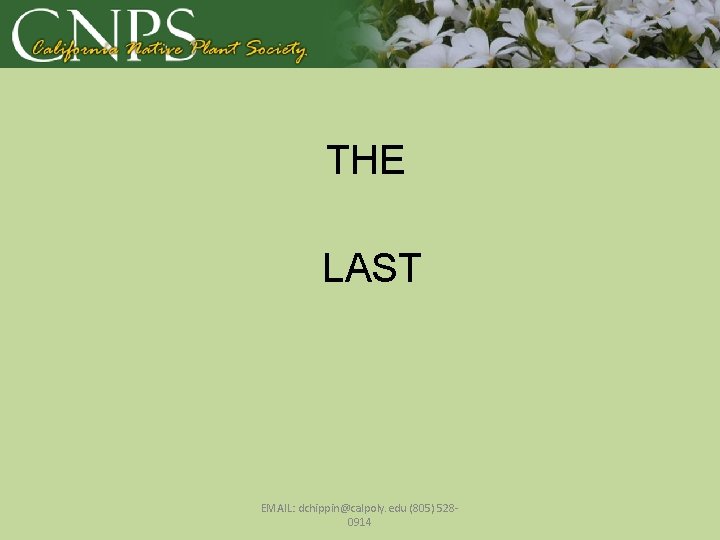 THE LAST EMAIL: dchippin@calpoly. edu (805) 5280914 