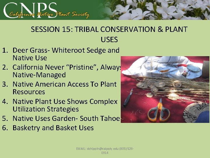 SESSION 15: TRIBAL CONSERVATION & PLANT USES 1. Deer Grass- Whiteroot Sedge and Native