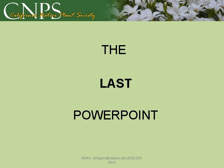 THE LAST POWERPOINT EMAIL: dchippin@calpoly. edu (805) 5280914 