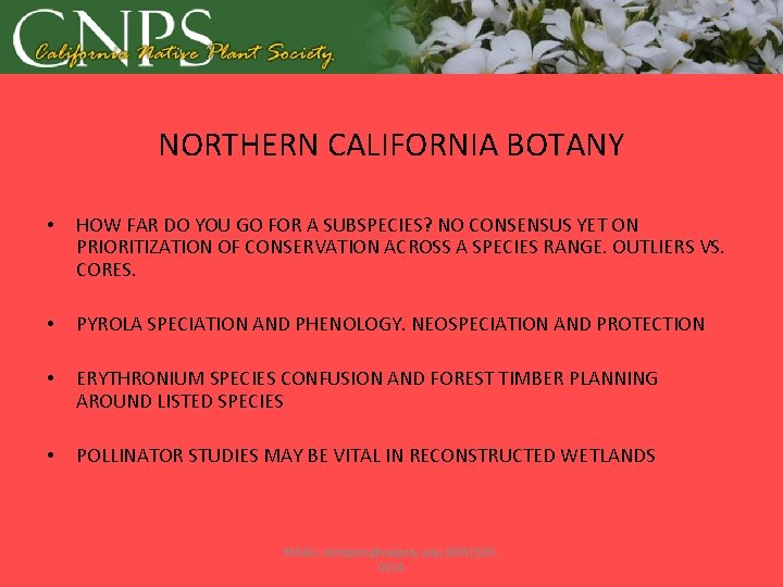 NORTHERN CALIFORNIA BOTANY • HOW FAR DO YOU GO FOR A SUBSPECIES? NO CONSENSUS