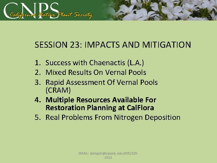 SESSION 23: IMPACTS AND MITIGATION 1. Success with Chaenactis (L. A. ) 2. Mixed