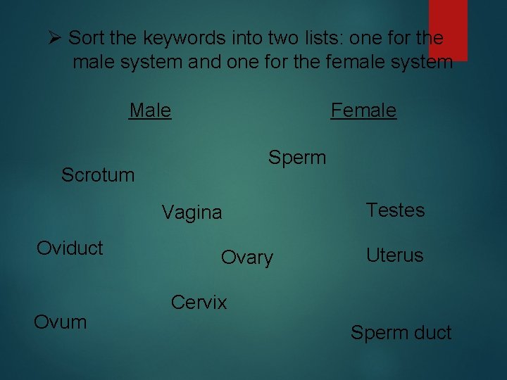 Ø Sort the keywords into two lists: one for the male system and one Ø Sort the keywords into two lists: one for the male system and one