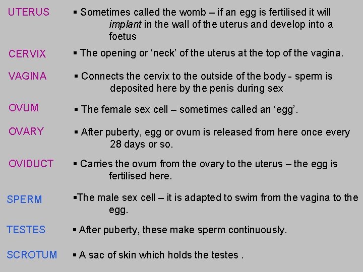 UTERUS § Sometimes called the womb – if an egg is fertilised it will UTERUS § Sometimes called the womb – if an egg is fertilised it will