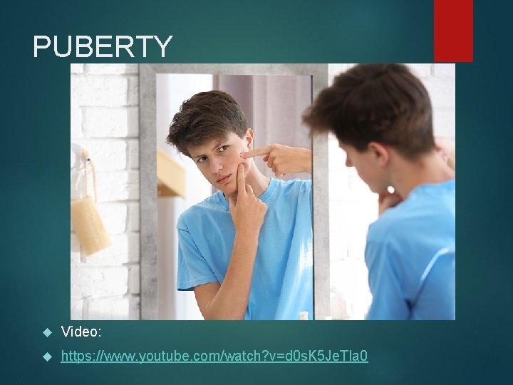 PUBERTY Video: https: //www. youtube. com/watch? v=d 0 s. K 5 Je. Tla 0 PUBERTY Video: https: //www. youtube. com/watch? v=d 0 s. K 5 Je. Tla 0