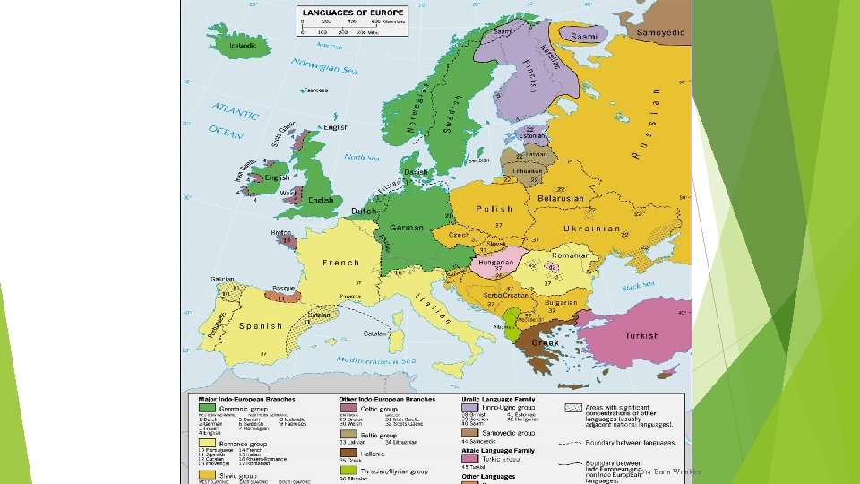 © 2014 Brain Wrinkles 