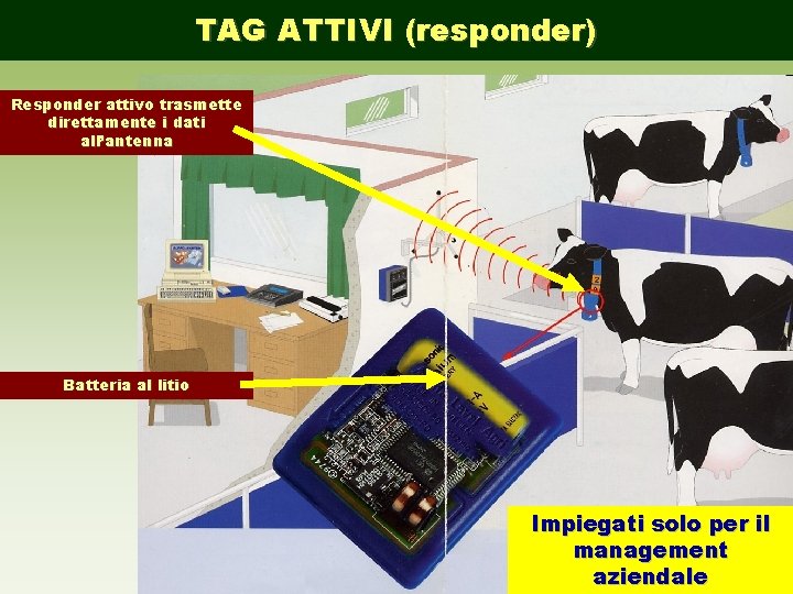 TAG ATTIVI (responder) Responder attivo trasmette direttamente i dati all’antenna Batteria al litio Impiegati