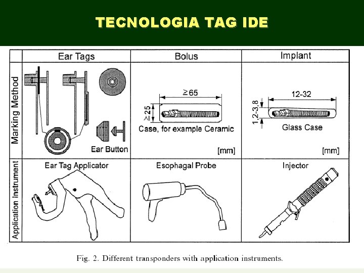 TECNOLOGIA TAG IDE 