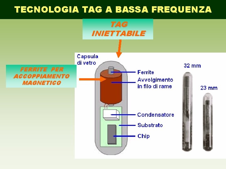 TECNOLOGIA TAG A BASSA FREQUENZA TAG INIETTABILE FERRITE PER ACCOPPIAMENTO MAGNETICO 