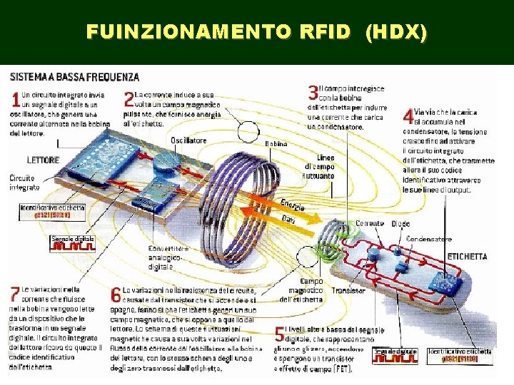 FUINZIONAMENTO RFID (HDX) 