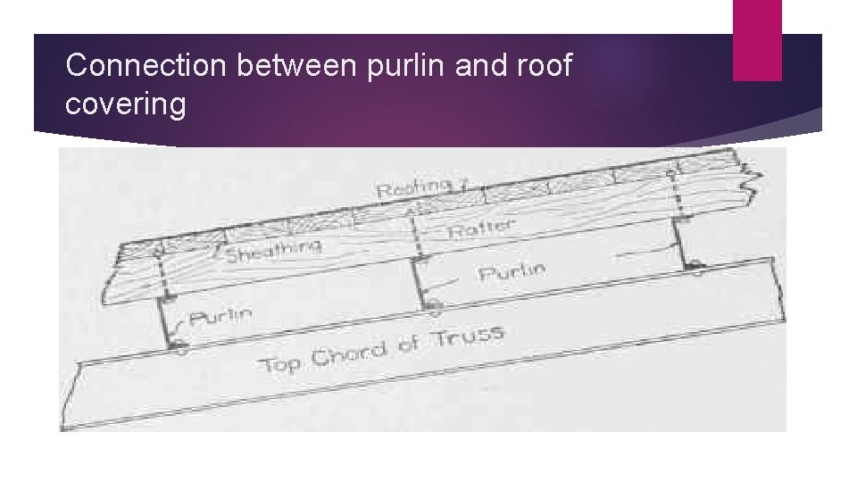 Connection between purlin and roof covering 