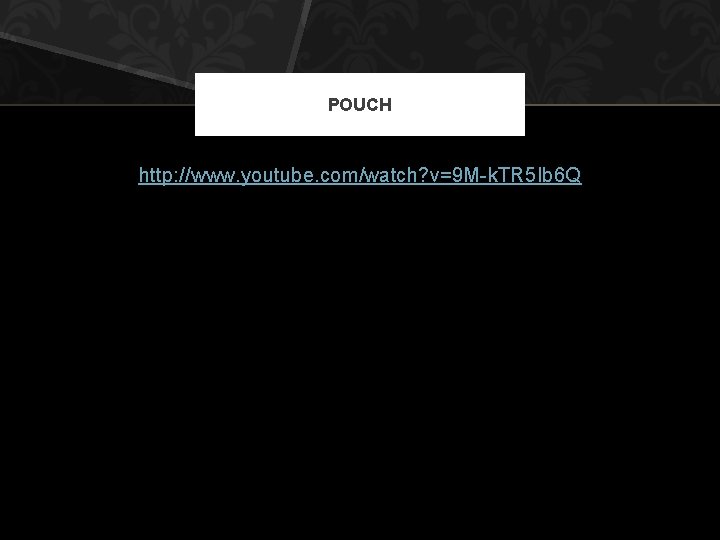 POUCH http: //www. youtube. com/watch? v=9 M-k. TR 5 Ib 6 Q 