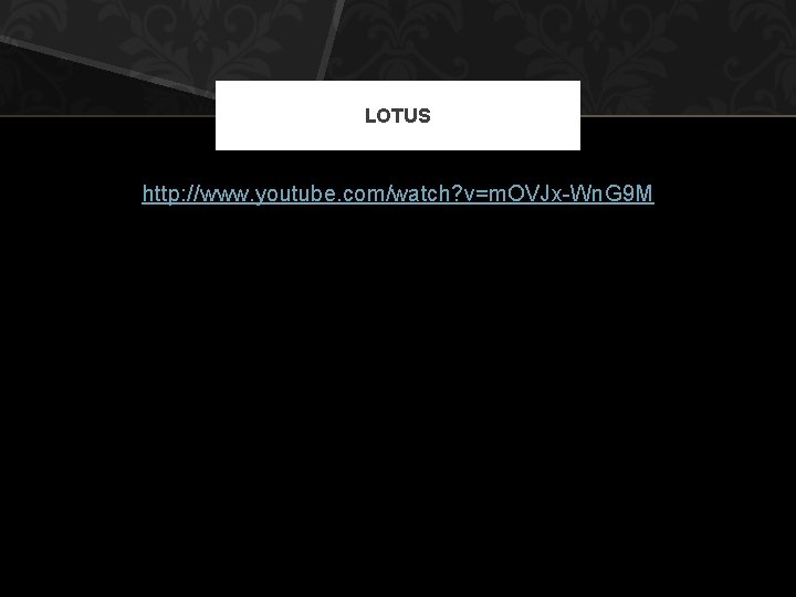 LOTUS http: //www. youtube. com/watch? v=m. OVJx-Wn. G 9 M 