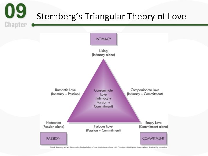 Sternberg’s Triangular Theory of Love 