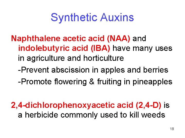 Synthetic Auxins Naphthalene acetic acid (NAA) and indolebutyric acid (IBA) have many uses in Synthetic Auxins Naphthalene acetic acid (NAA) and indolebutyric acid (IBA) have many uses in
