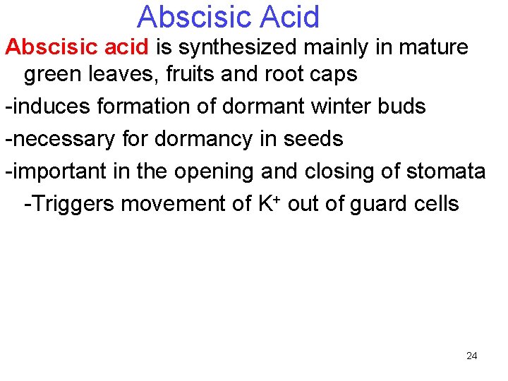 Abscisic Acid Abscisic acid is synthesized mainly in mature green leaves, fruits and root Abscisic Acid Abscisic acid is synthesized mainly in mature green leaves, fruits and root