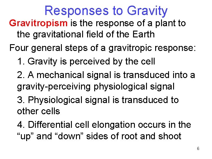 Responses to Gravity Gravitropism is the response of a plant to the gravitational field Responses to Gravity Gravitropism is the response of a plant to the gravitational field
