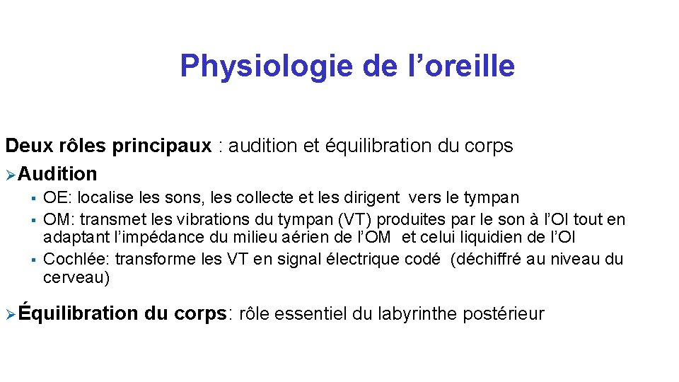 Physiologie de l’oreille Deux rôles principaux : audition et équilibration du corps Ø Audition