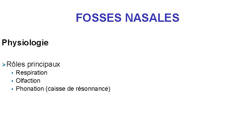 FOSSES NASALES Physiologie Ø Rôles principaux § § § Respiration Olfaction Phonation (caisse de