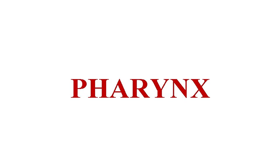 PHARYNX PHARYNX