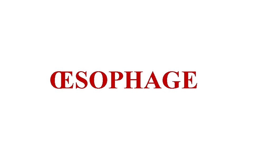 ŒSOPHAGE 