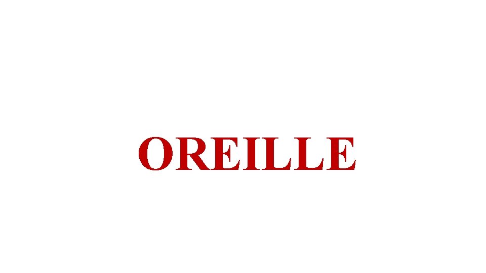 OREILLE 