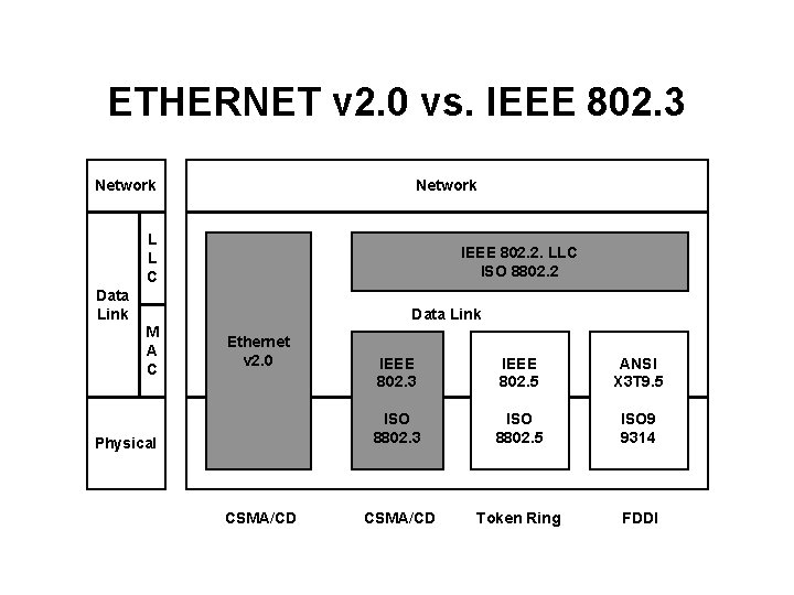 ETHERNET v 2. 0 vs. IEEE 802. 3 Network L L C IEEE 802.