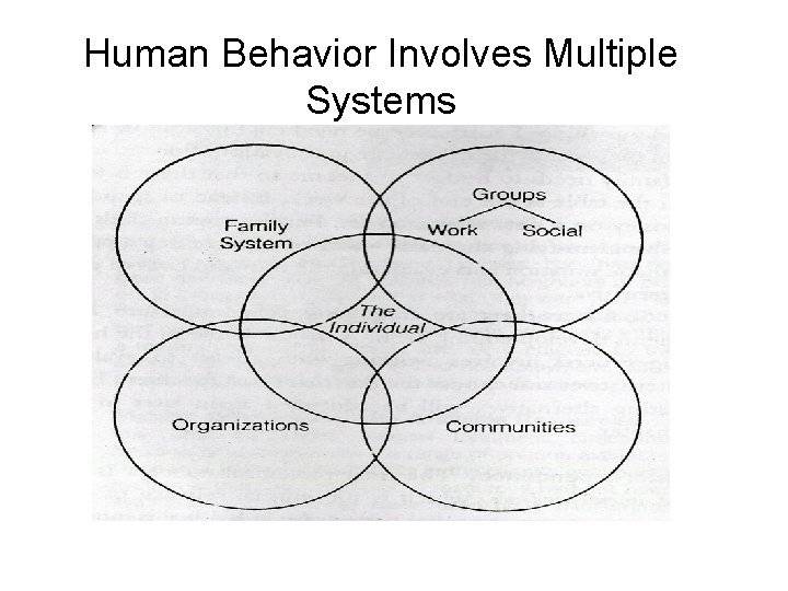 Human Behavior Involves Multiple Systems 