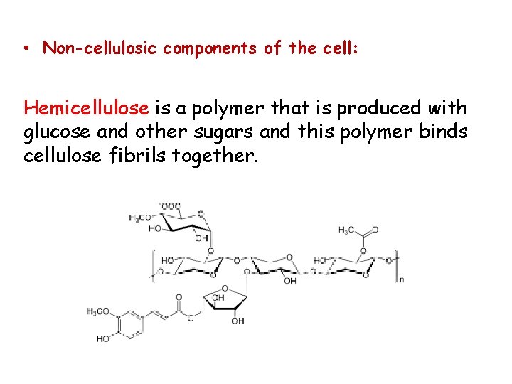  • Non-cellulosic components of the cell: Hemicellulose is a polymer that is produced