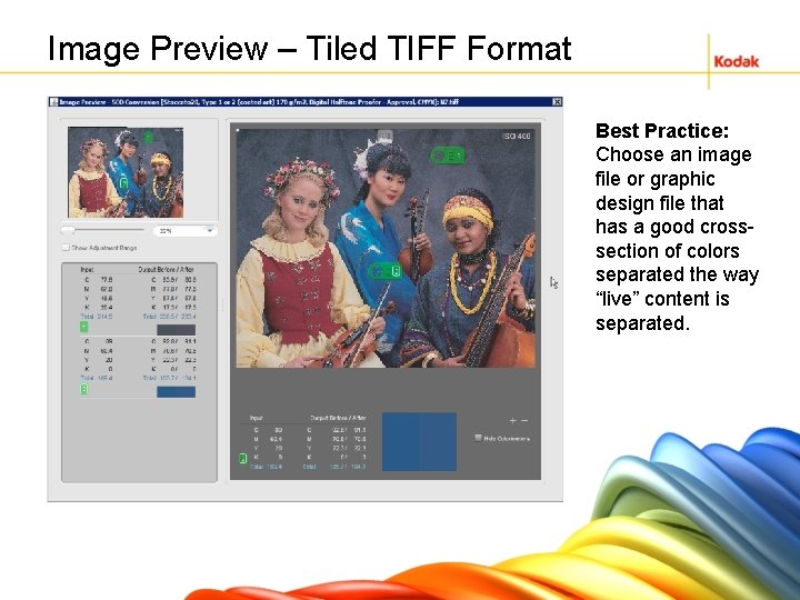 Image Preview – Tiled TIFF Format Best Practice: Choose an image file or graphic