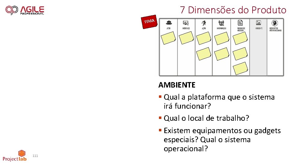 7 Dimensões do Produto TEMA 111 AMBIENTE § Qual a plataforma que o sistema