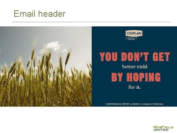 Email header 