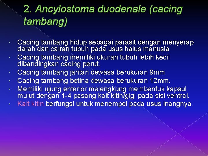 2. Ancylostoma duodenale (cacing tambang) Cacing tambang hidup sebagai parasit dengan menyerap darah dan