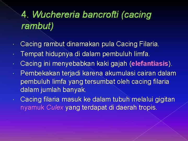 4. Wuchereria bancrofti (cacing rambut) Cacing rambut dinamakan pula Cacing Filaria. Tempat hidupnya di