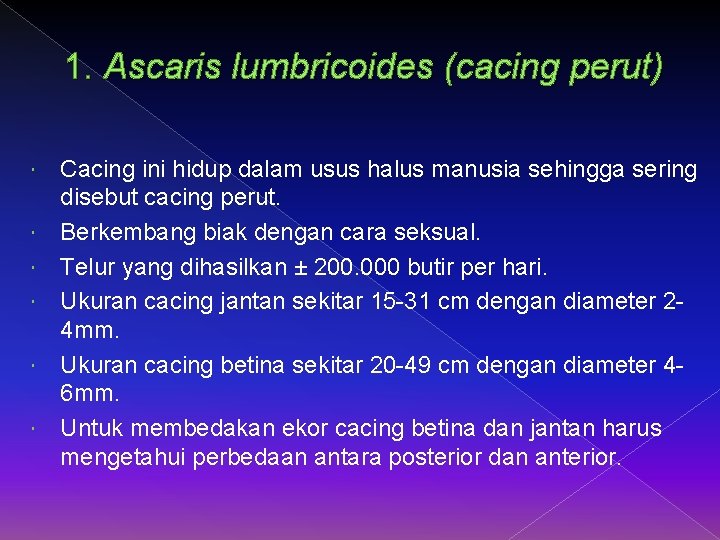 1. Ascaris lumbricoides (cacing perut) Cacing ini hidup dalam usus halus manusia sehingga sering