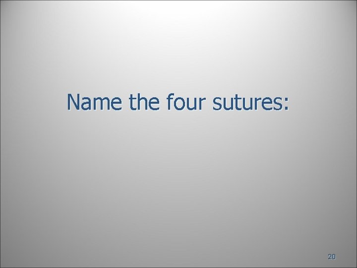 Name the four sutures: 20 Name the four sutures: 20