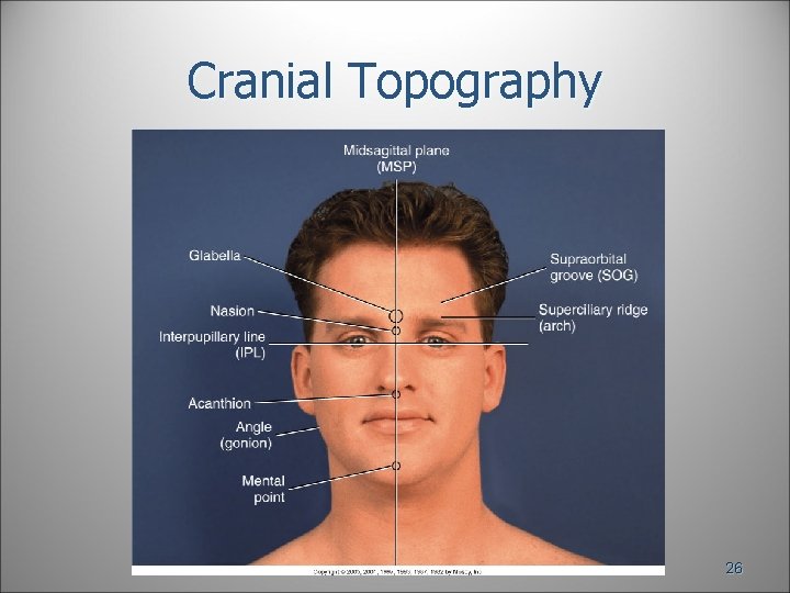 Cranial Topography 26 Cranial Topography 26