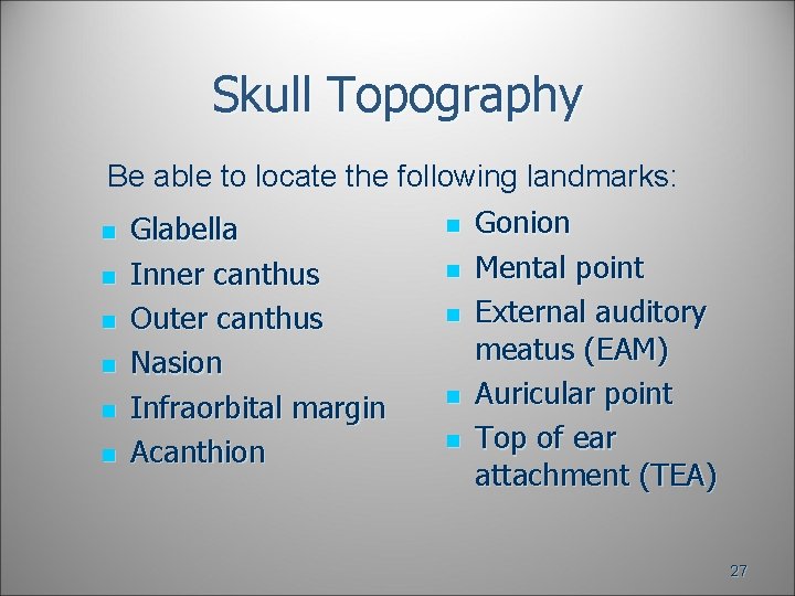 Skull Topography Be able to locate the following landmarks: n n n Glabella Inner Skull Topography Be able to locate the following landmarks: n n n Glabella Inner