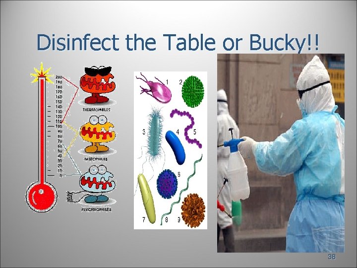 Disinfect the Table or Bucky!! 38 Disinfect the Table or Bucky!! 38
