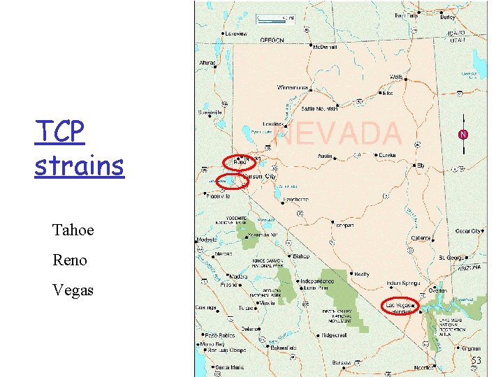 TCP strains Tahoe Reno Vegas 53 