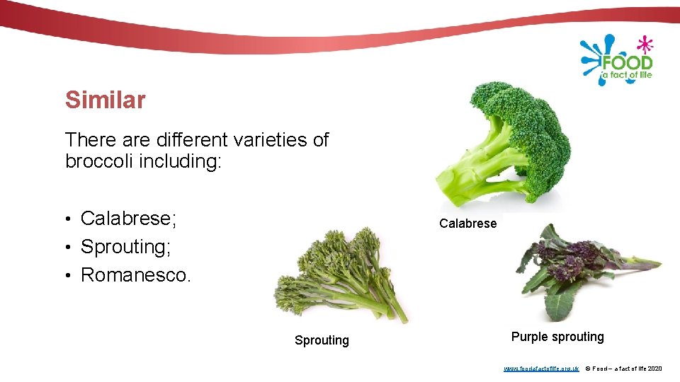 Similar There are different varieties of broccoli including: • Calabrese; Calabrese • Sprouting; •