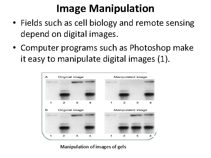 Image Manipulation • Fields such as cell biology and remote sensing depend on digital Image Manipulation • Fields such as cell biology and remote sensing depend on digital